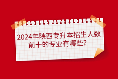 2024年陕西专升本招生人数前十的专业有哪些？